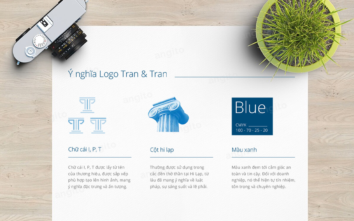img uploads/Du_An/Tran-Tran-Branding/hfgjh.jpg